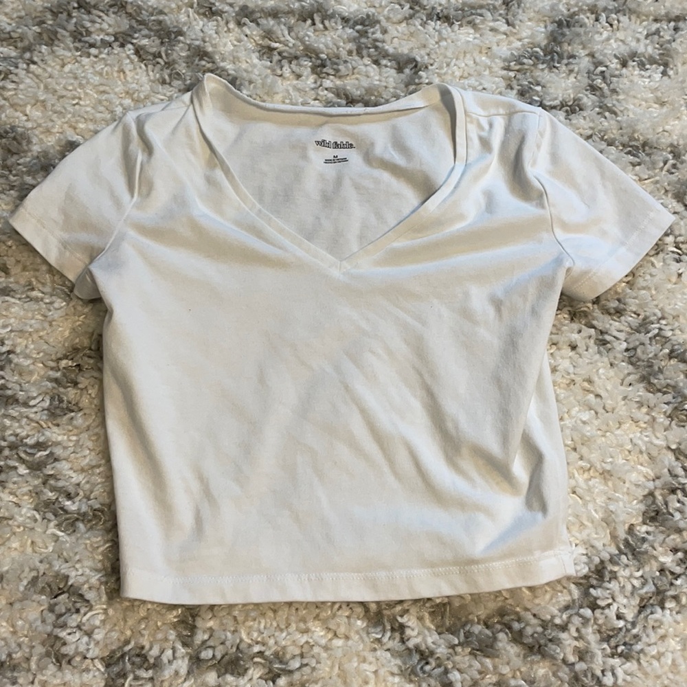 Wild fable crop top